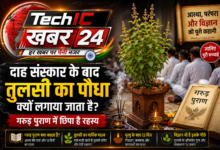 दाह संस्कार के बाद घर के आंगन में लगाया गया तुलसी का पौधा