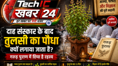 दाह संस्कार के बाद घर के आंगन में लगाया गया तुलसी का पौधा