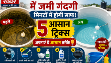 Water Tank Cleaning Tips: छत पर रखी पानी की टंकी की सफाई के 5 आसान तरीके, मिनटों में हटेगी गंदगी
