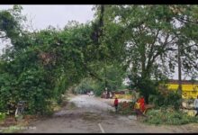 उत्तर प्रदेश के 13 जिलों में रेड अलर्ट, 100 KM/H की रफ्तार से तूफान और भारी बारिश का अलर्ट