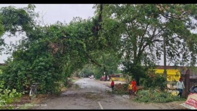 उत्तर प्रदेश के 13 जिलों में रेड अलर्ट, 100 KM/H की रफ्तार से तूफान और भारी बारिश का अलर्ट